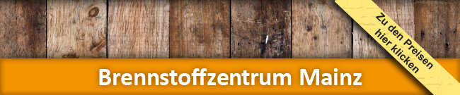 brennstoffzentrum mainz